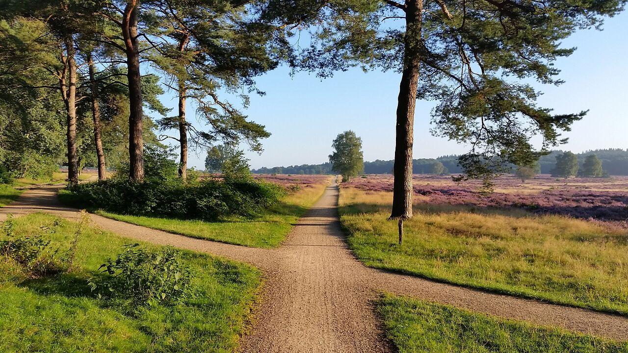 Inspiratiedag